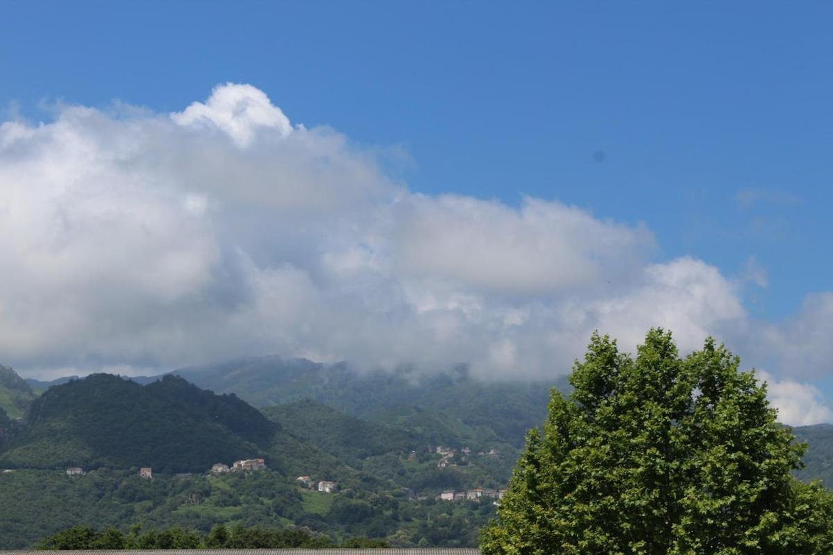 Bord de mer, pieds dans l'eau, vue panoramique Villa San-Nicolao Buitenkant foto