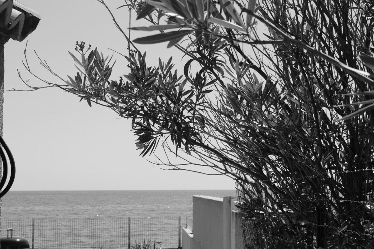 Bord de mer, pieds dans l'eau, vue panoramique Villa San-Nicolao Buitenkant foto