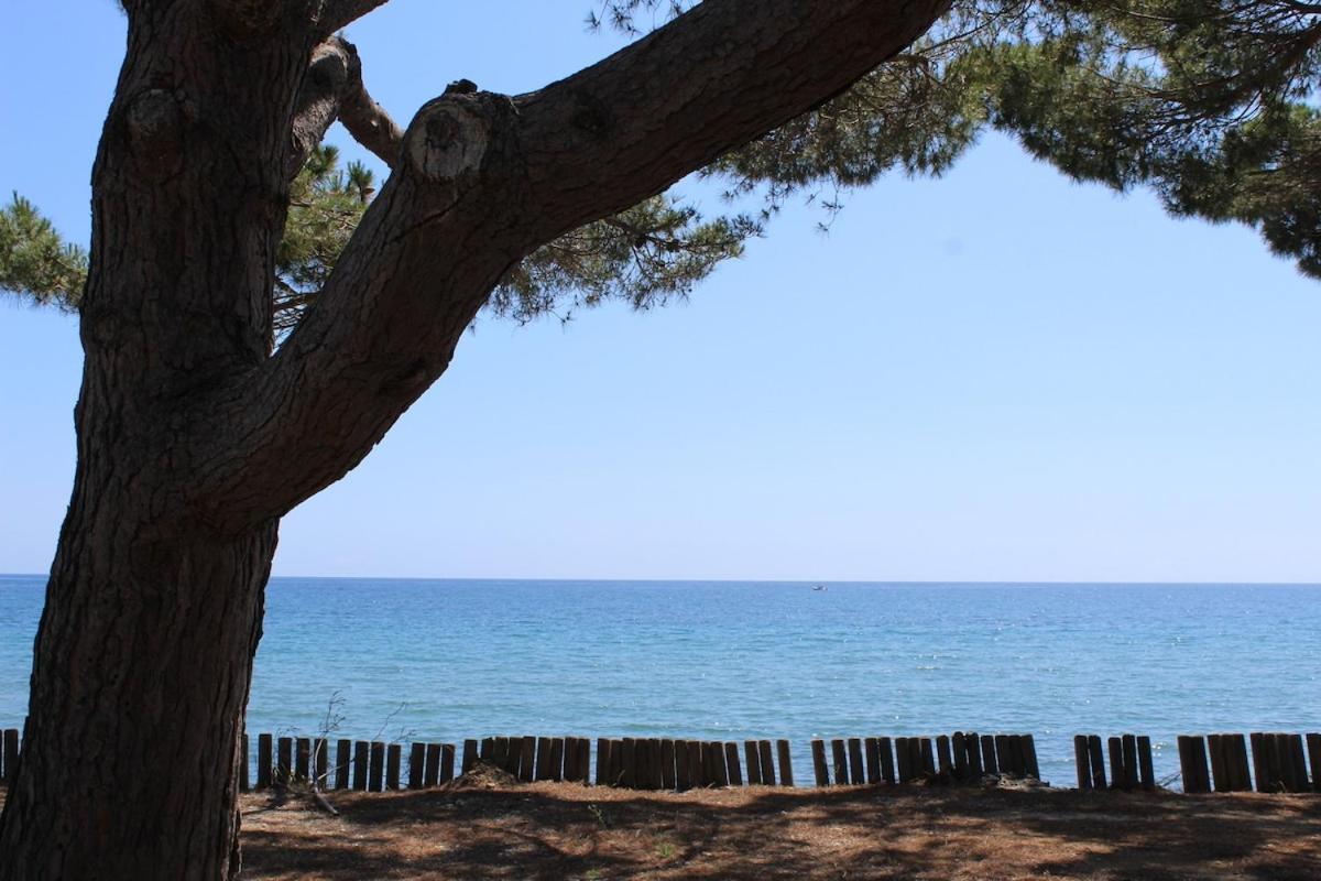 Bord de mer, pieds dans l'eau, vue panoramique Villa San-Nicolao Buitenkant foto